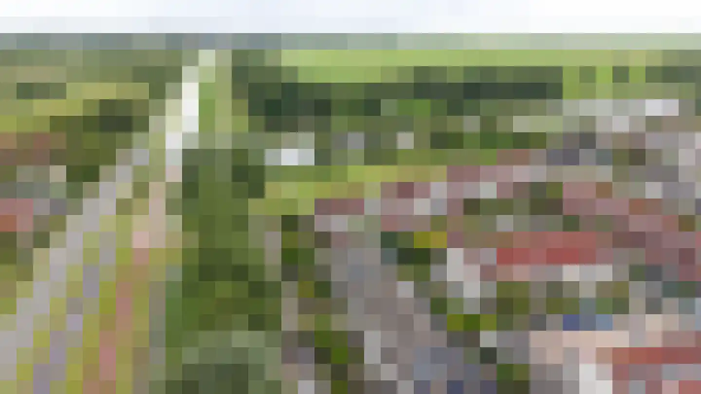 Benedictijnenstraat 2 Assendelft thumbnail 44