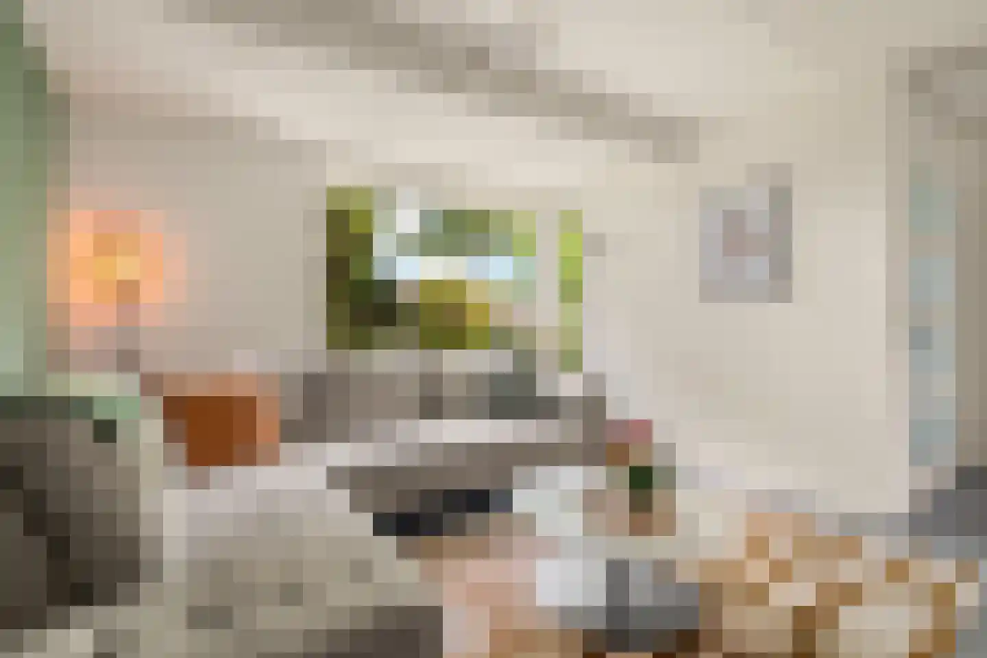 Benedictijnenstraat 2 Assendelft thumbnail 6