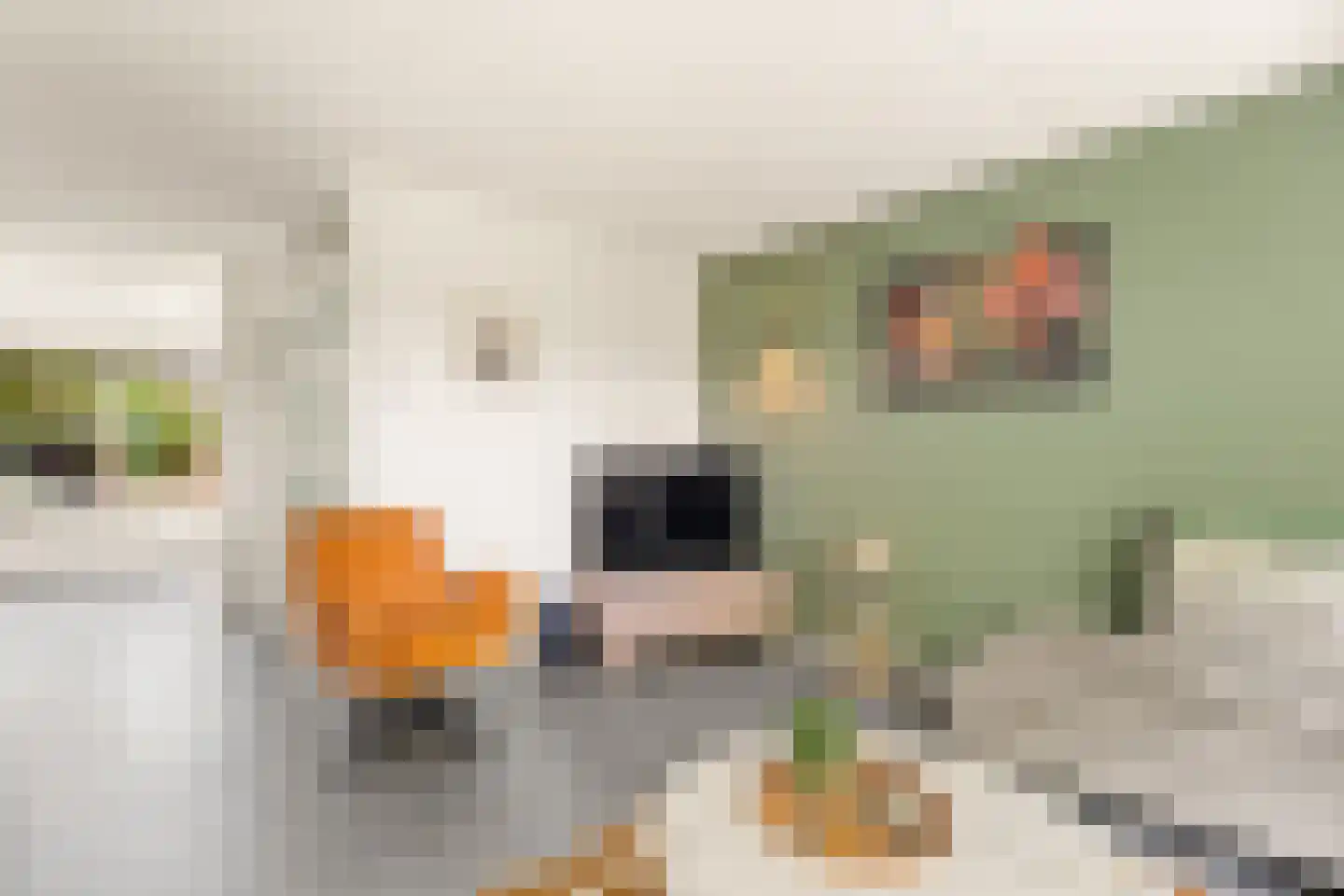Benedictijnenstraat 2 Assendelft thumbnail 7