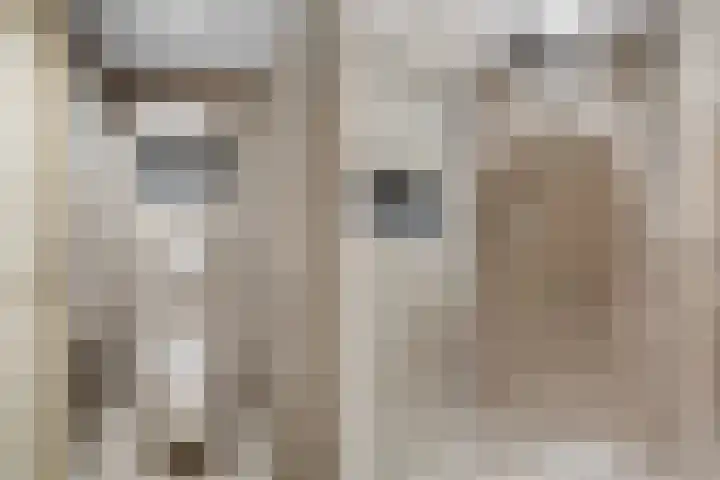 Benedictijnenstraat 3 Arnhem thumbnail 32