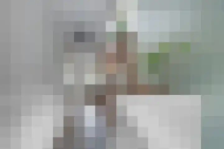 Benedictijnenstraat 3 Arnhem thumbnail 33