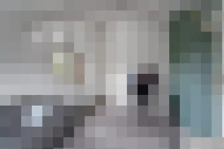 Benedictijnenstraat 3 Arnhem thumbnail 37