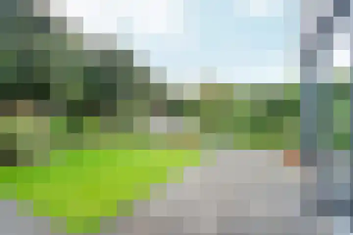 Benedictijnenstraat 3 Arnhem thumbnail 4