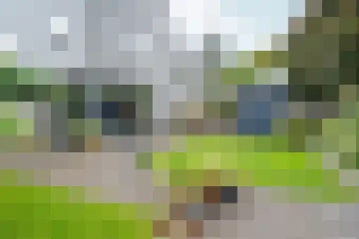Benedictijnenstraat 3 Arnhem thumbnail 45