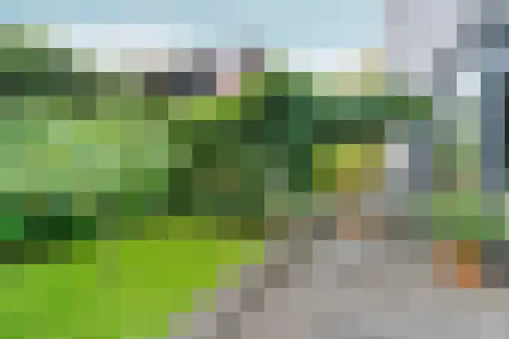Benedictijnenstraat 3 Arnhem thumbnail 49