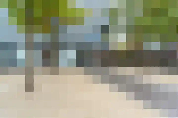 Benedictijnenstraat 3 Arnhem thumbnail 5
