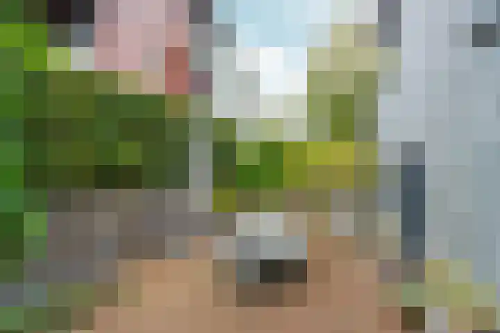 Benedictijnenstraat 3 Arnhem thumbnail 50