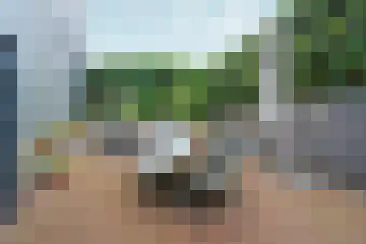 Benedictijnenstraat 3 Arnhem thumbnail 51