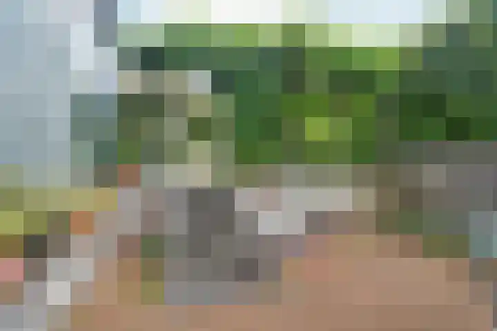 Benedictijnenstraat 3 Arnhem thumbnail 52