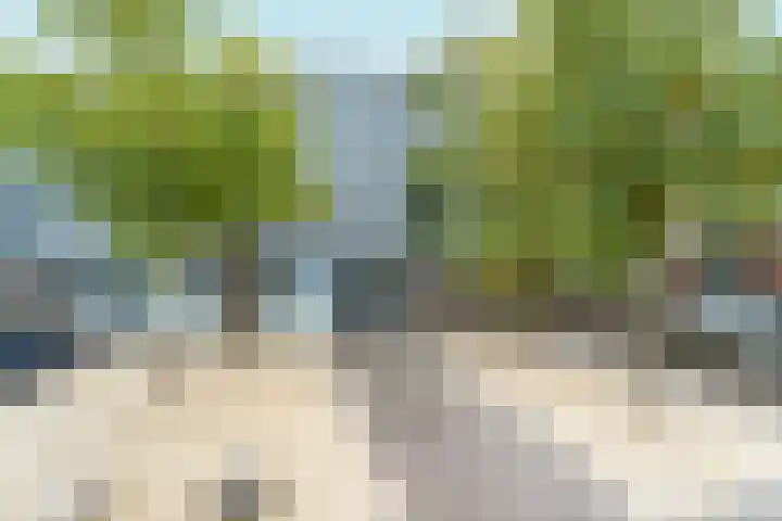 Benedictijnenstraat 3 Arnhem thumbnail 54
