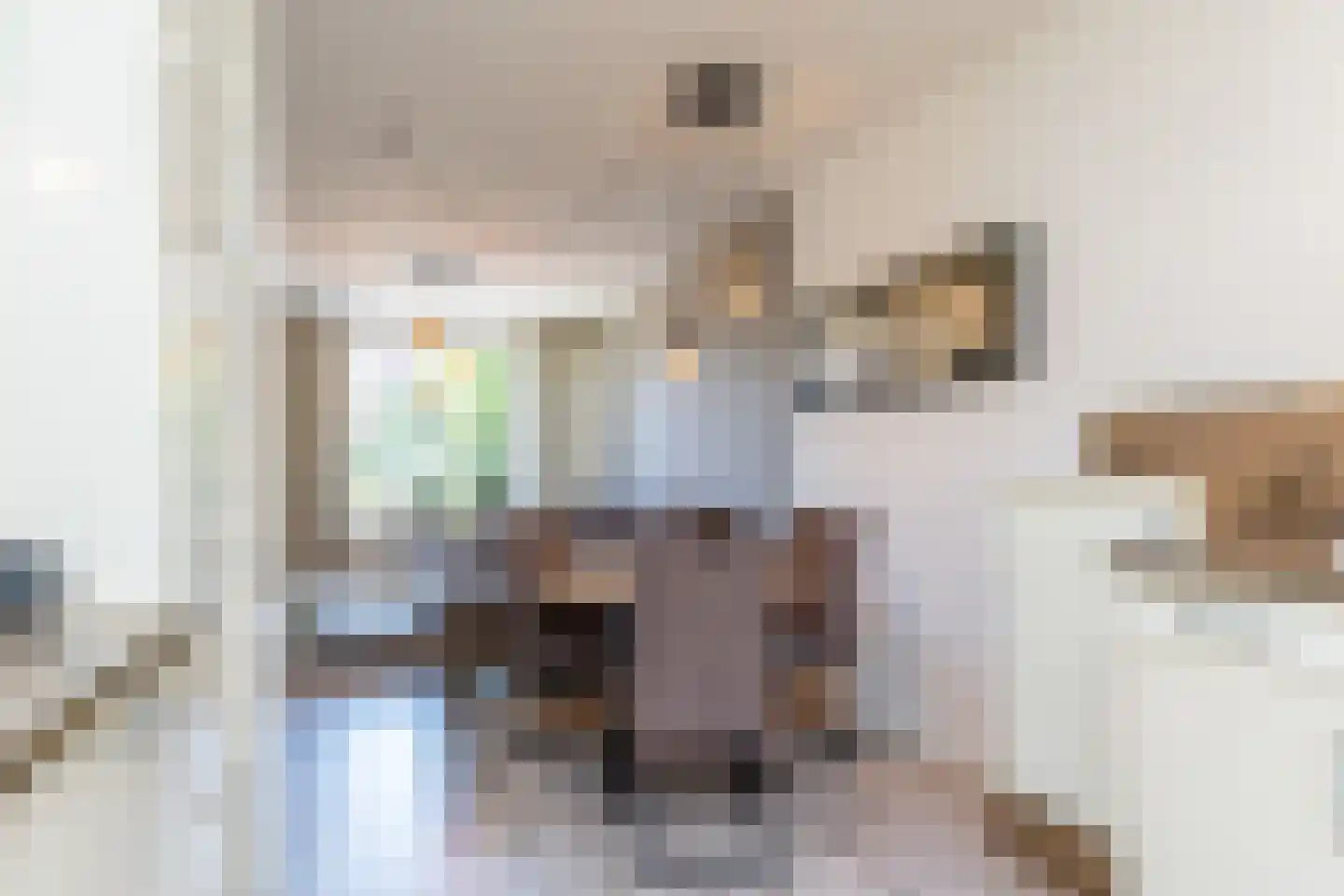 Benedictijnenstraat 9 Vijlen thumbnail 13