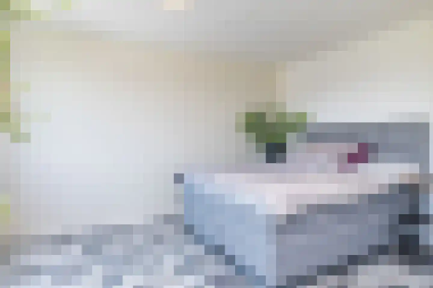 Benedictijnenstraat 9 Vijlen thumbnail 16