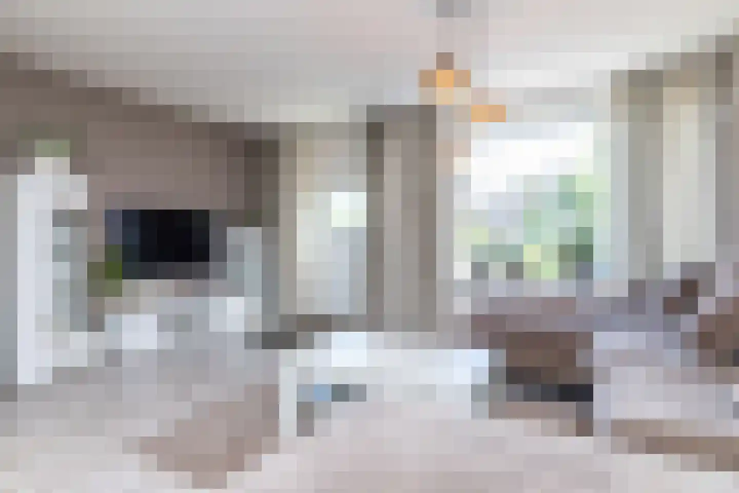 Benedictijnenstraat 9 Vijlen thumbnail 7