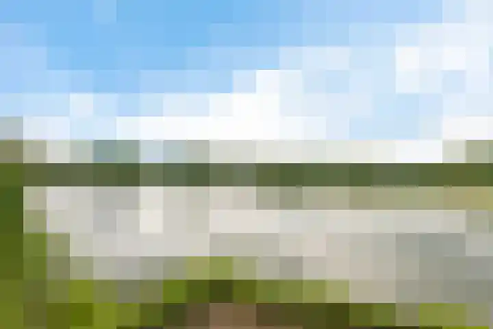 Benedictushof 101 Vianen thumbnail 31