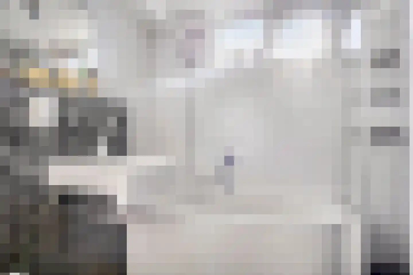 Benedictushof 103 Vianen thumbnail 18