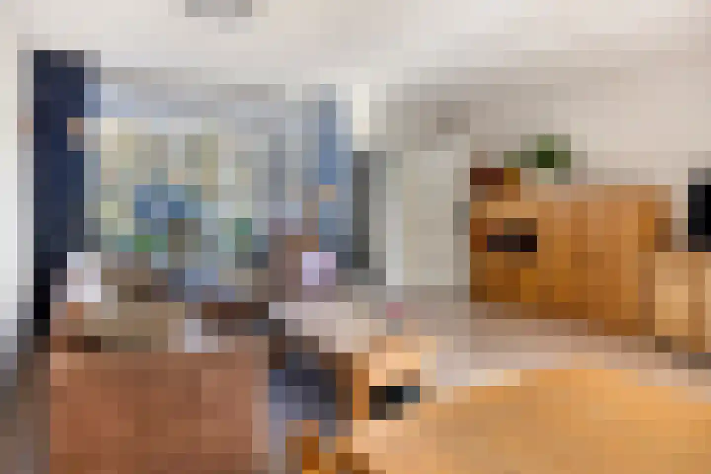Benedictushof 103 Vianen thumbnail 7