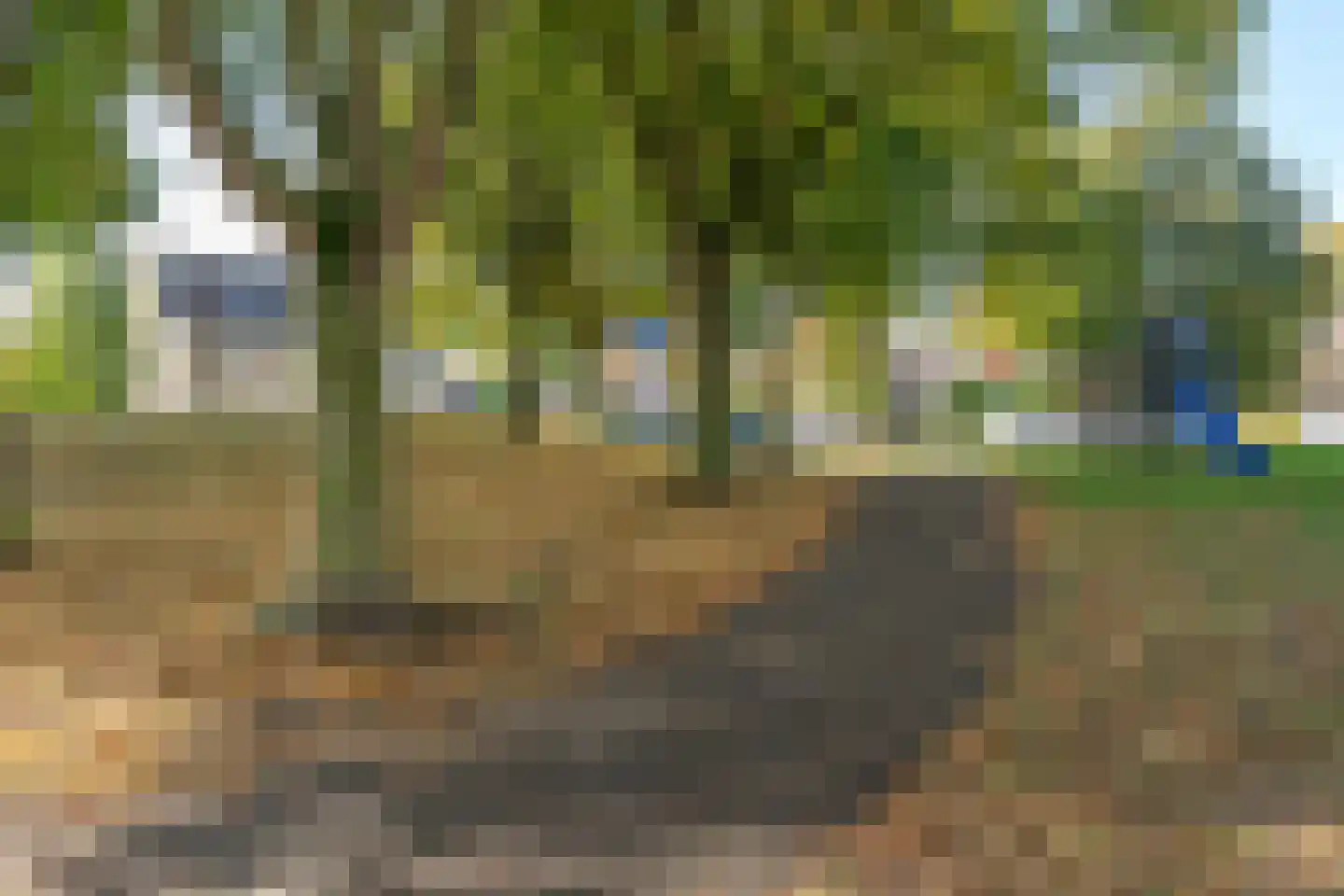 Benedictushof 16 Vianen thumbnail 12