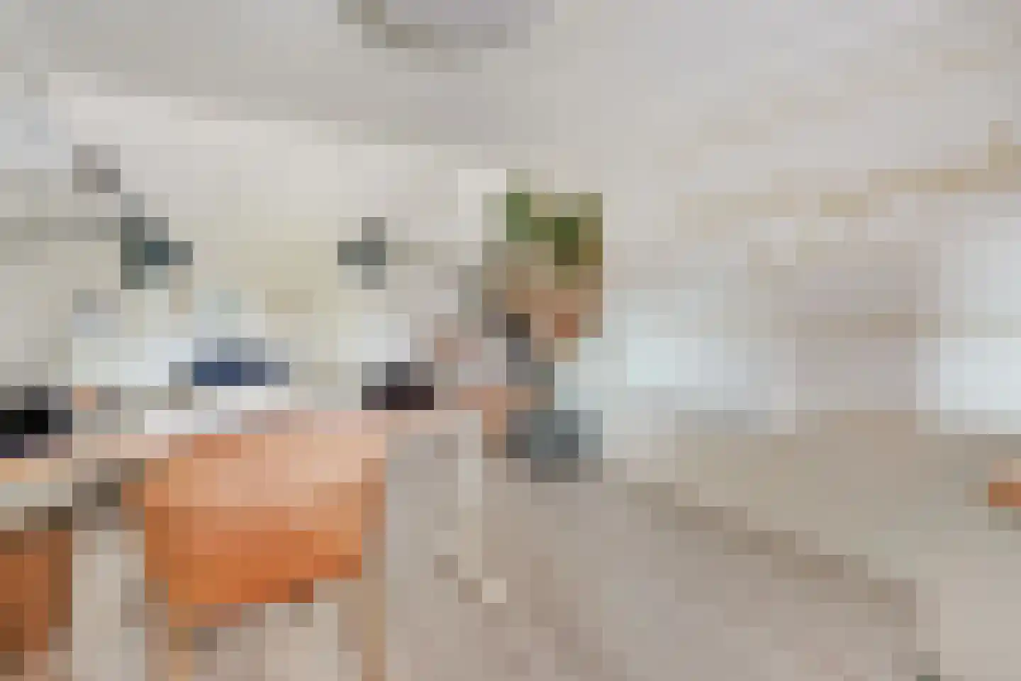Benedictushof 16 Vianen thumbnail 35