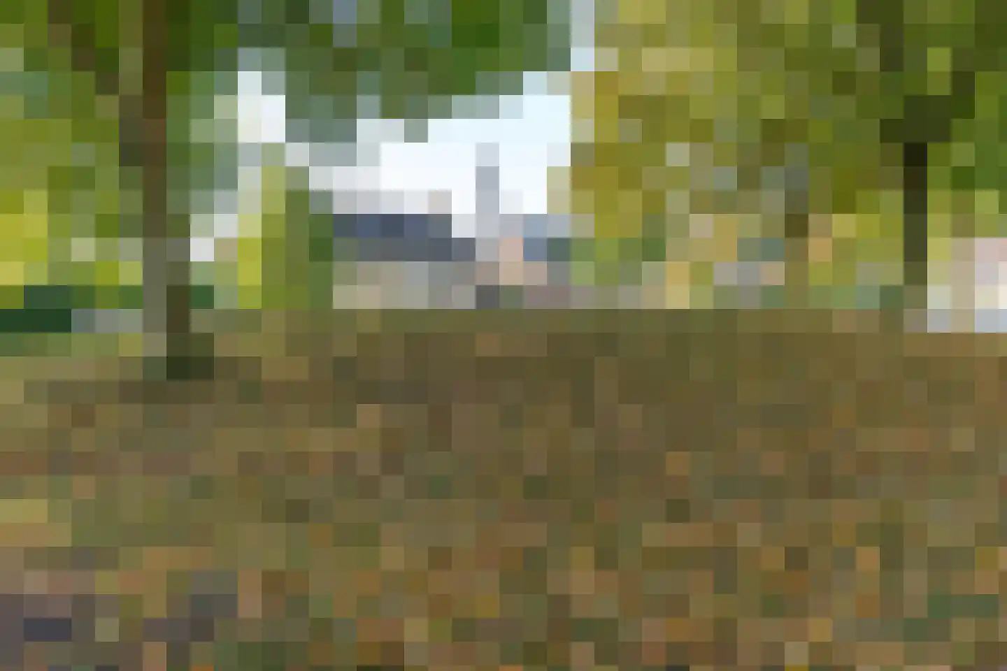 Benedictushof 16 Vianen thumbnail 63