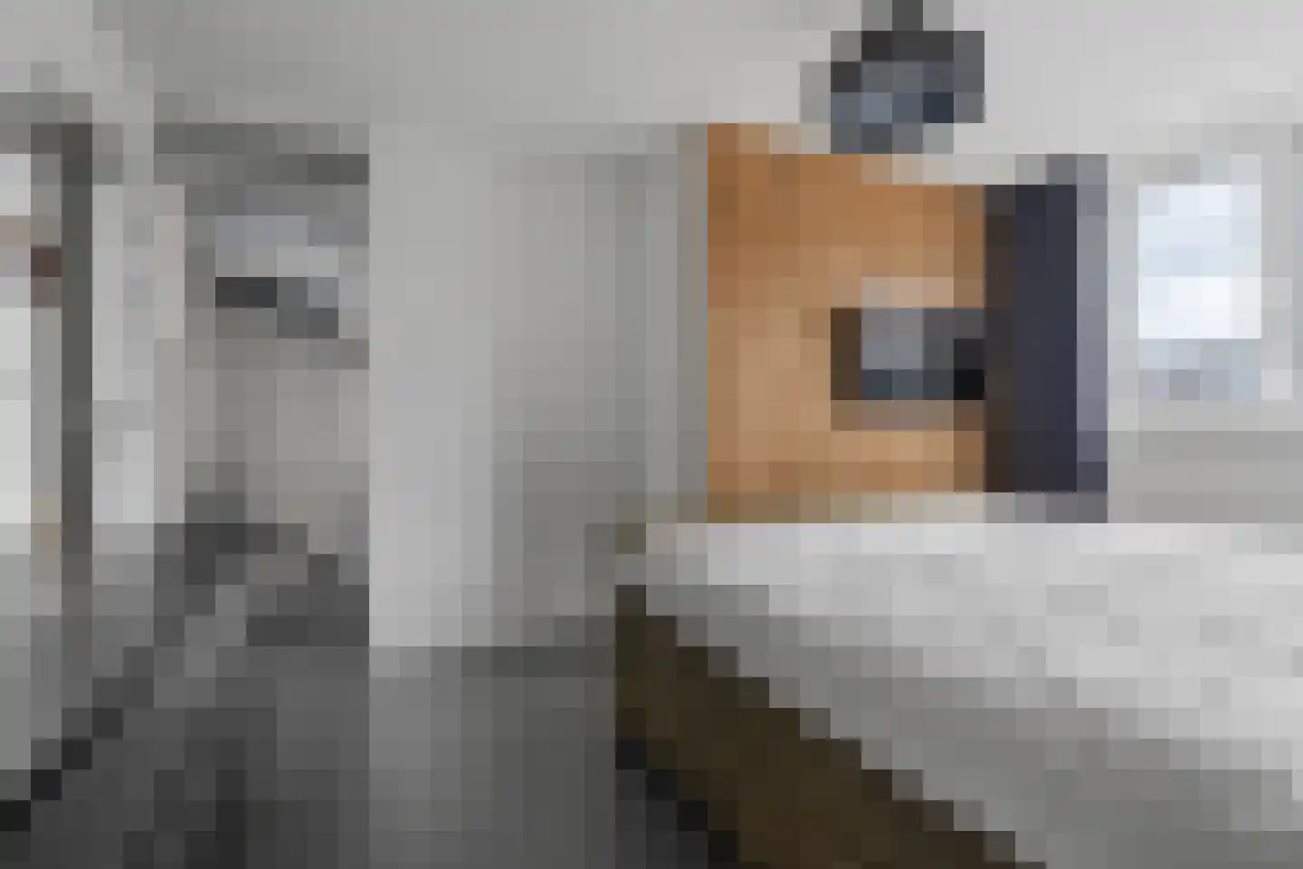 Benedictushof 31 Vianen thumbnail 16