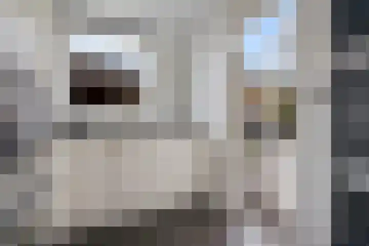 Benedictushof 8 Vianen thumbnail 10