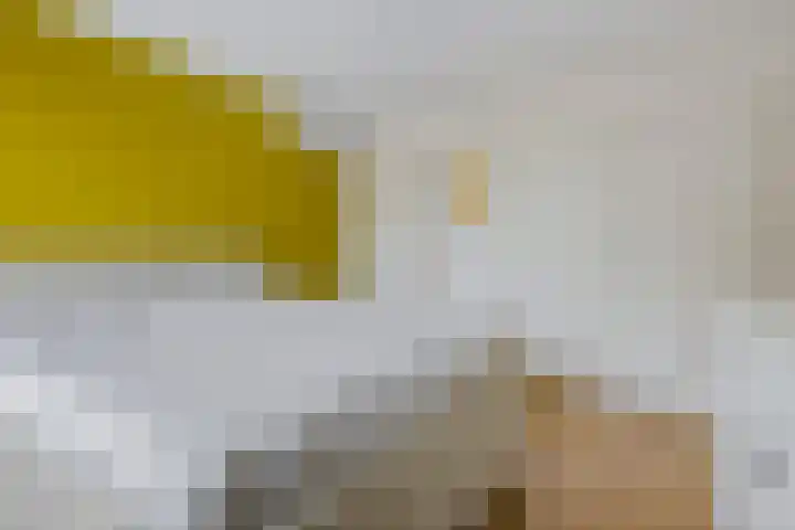Benedictushof 8 Vianen thumbnail 16