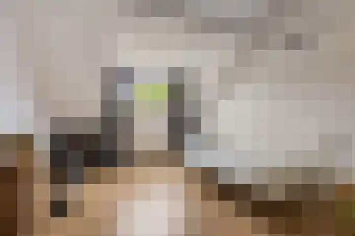 Benedictushof 8 Vianen thumbnail 20