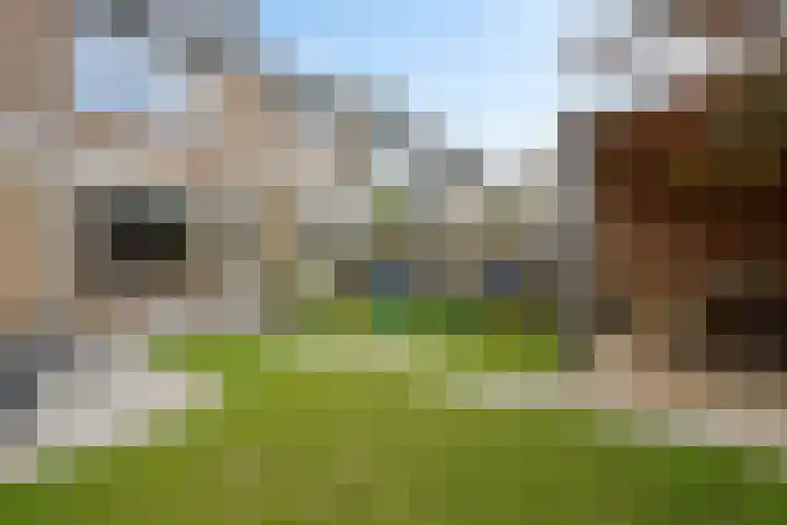 Benedictushof 8 Vianen thumbnail 23