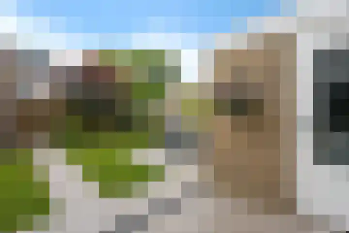 Benedictushof 8 Vianen thumbnail 26