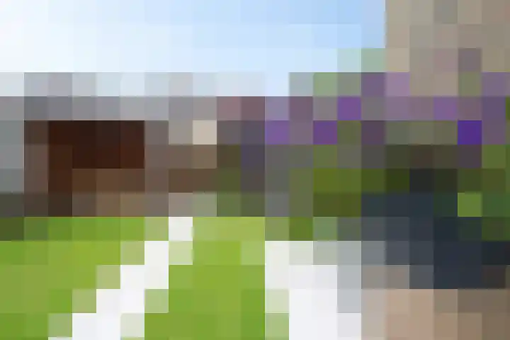 Benedictushof 8 Vianen thumbnail 27