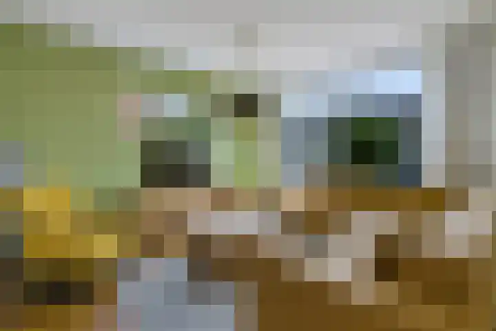 Benedictushof 8 Vianen thumbnail 4
