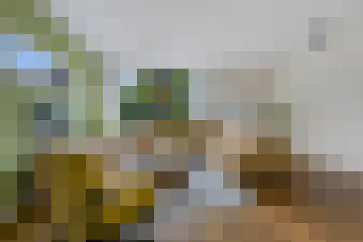 Benedictushof 8 Vianen thumbnail 5