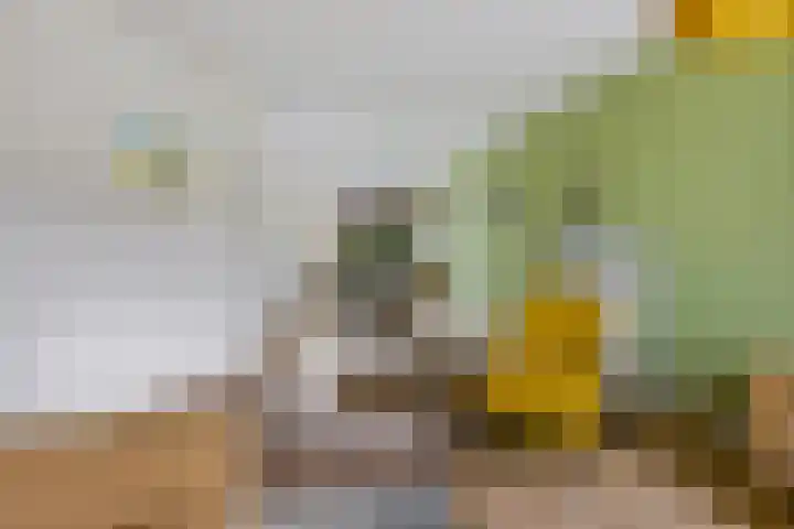 Benedictushof 8 Vianen thumbnail 6