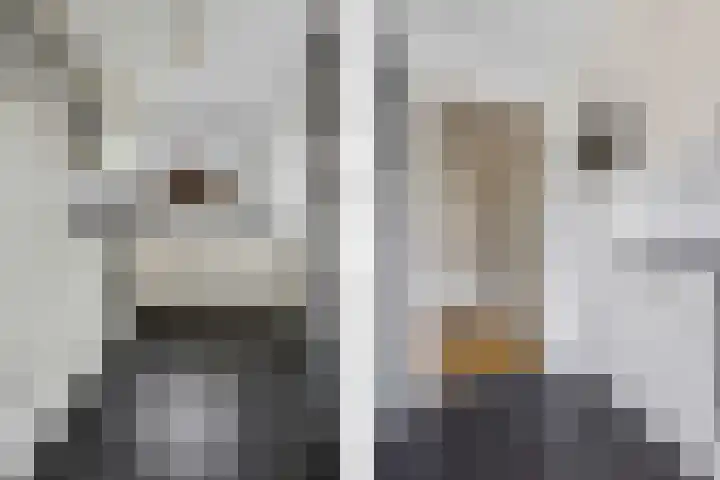 Benedictushof 8 Vianen thumbnail 9