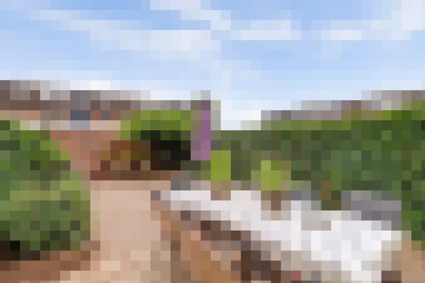 Benedictushof 93 Vianen thumbnail 29
