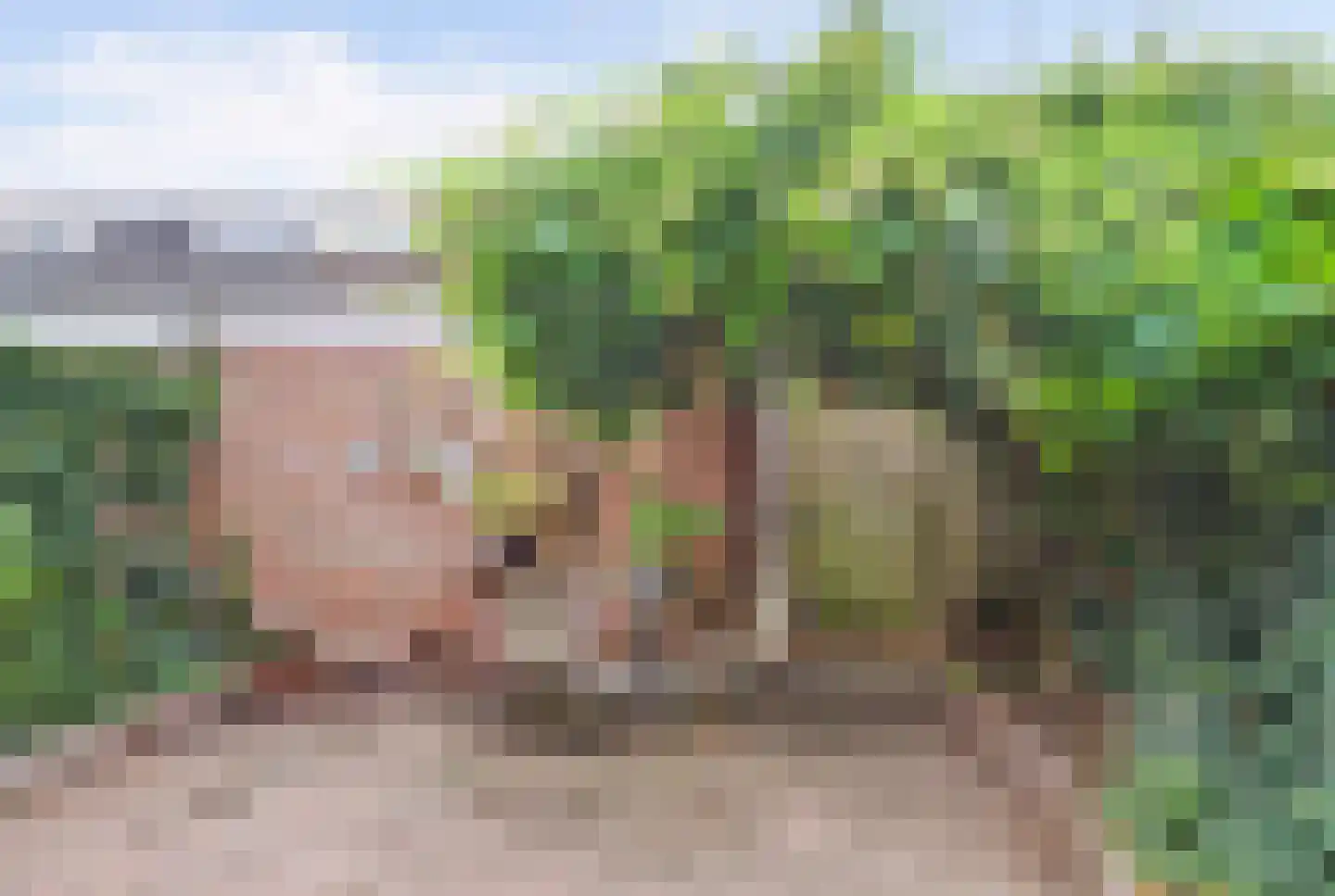 Benedictushof 93 Vianen thumbnail 30