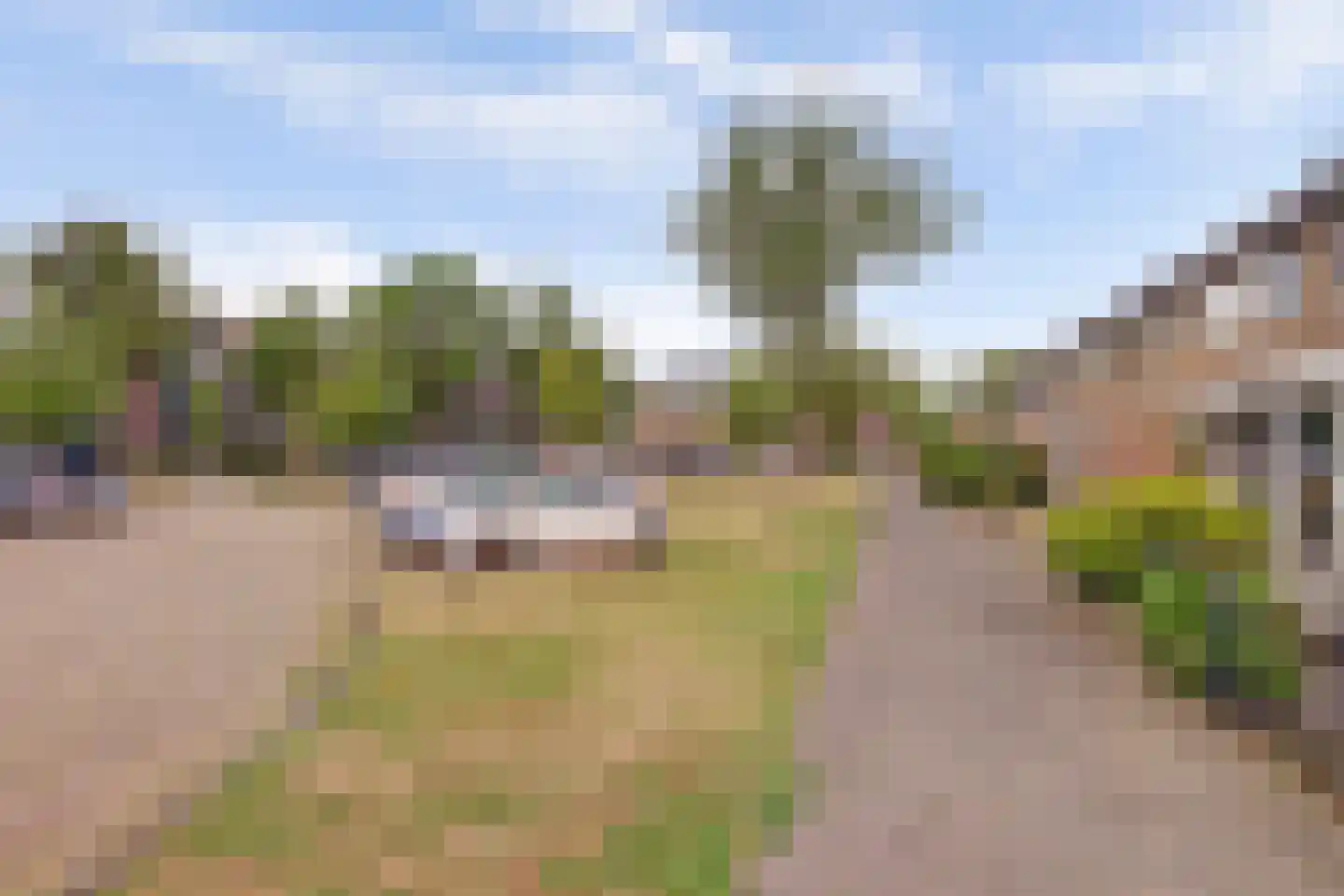 Benedictushof 93 Vianen thumbnail 32