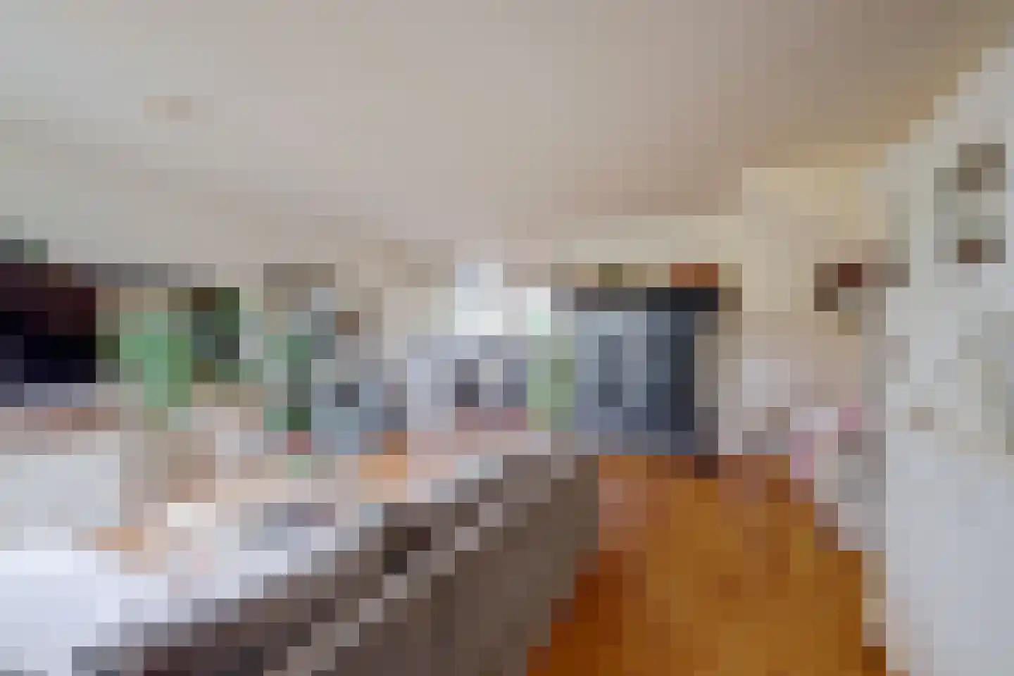 Benedictushof 93 Vianen thumbnail 7