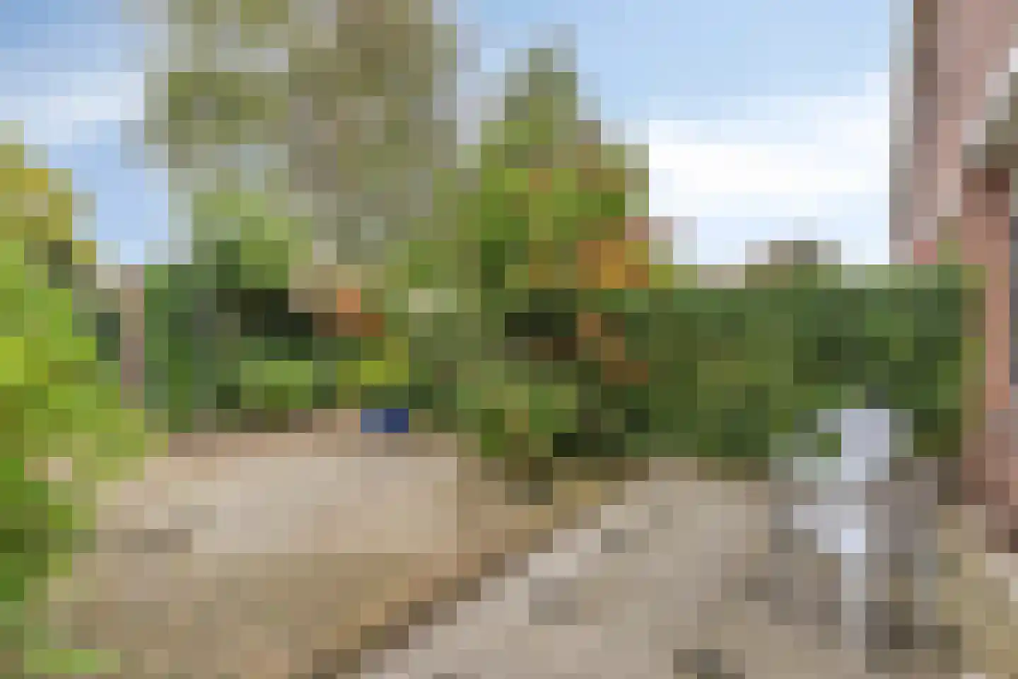 Benedictuskruid 63 Rotterdam thumbnail 25