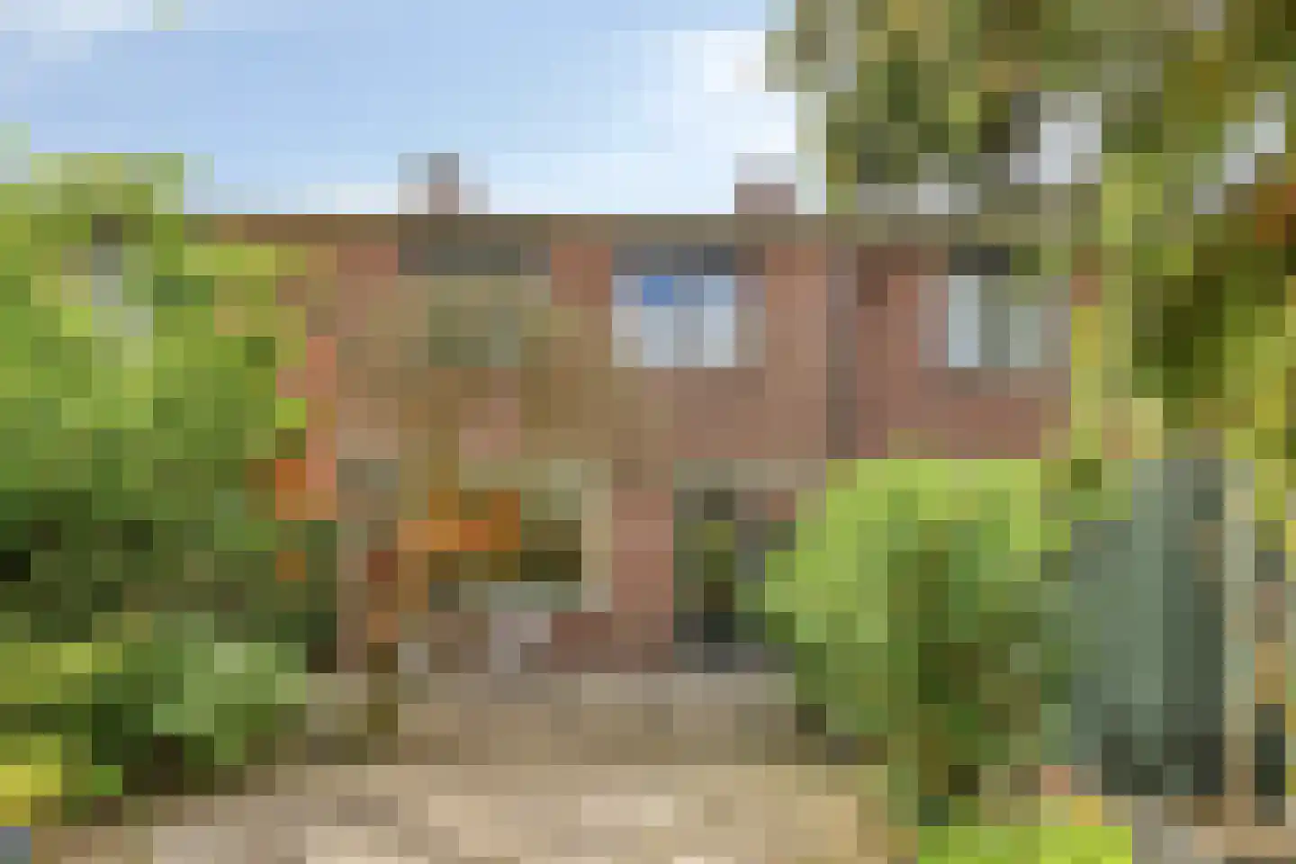 Benedictuskruid 63 Rotterdam thumbnail 26