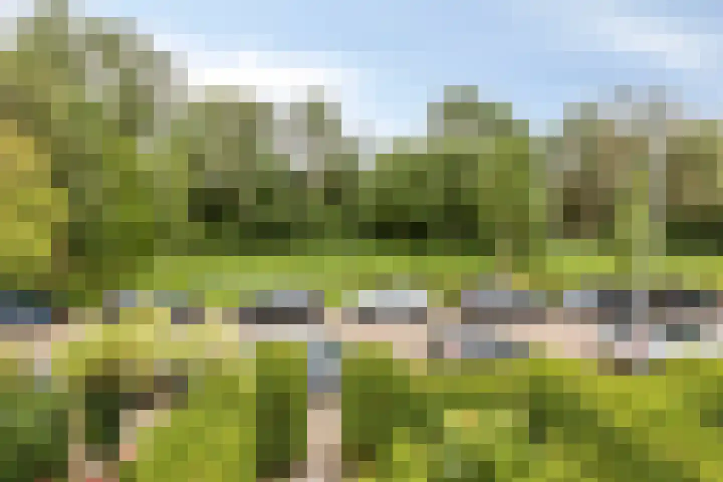Benedictuskruid 63 Rotterdam thumbnail 27