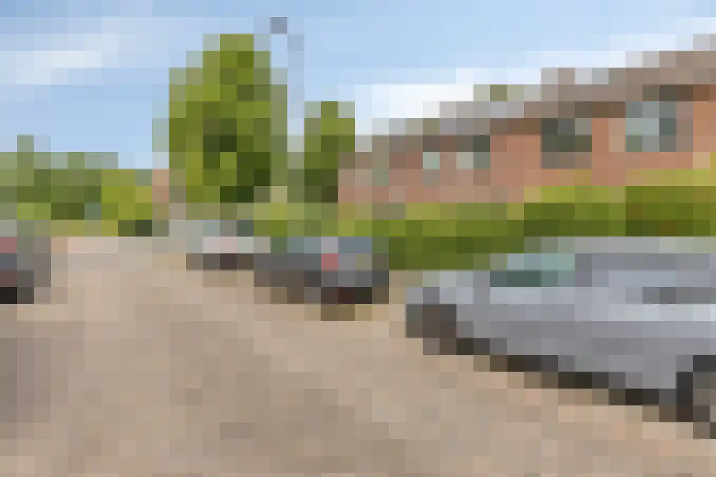 Benedictuskruid 63 Rotterdam thumbnail 32