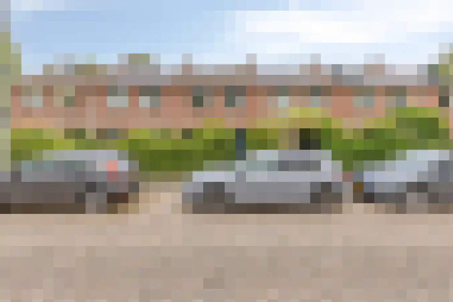 Benedictuskruid 63 Rotterdam thumbnail 33