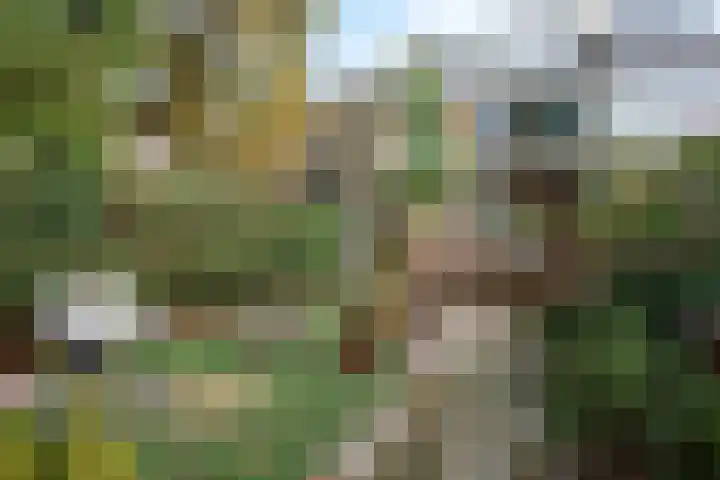 Benedictusstraat 5 Tilburg thumbnail 25