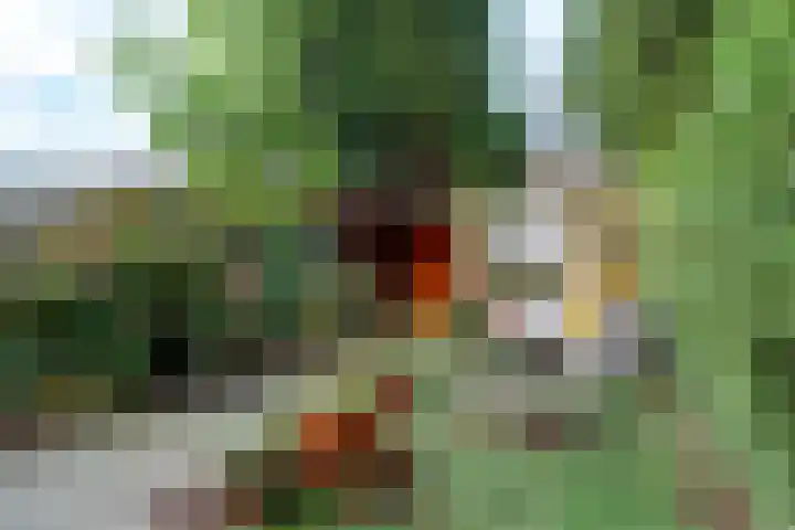 Benedictusstraat 5 Tilburg thumbnail 26
