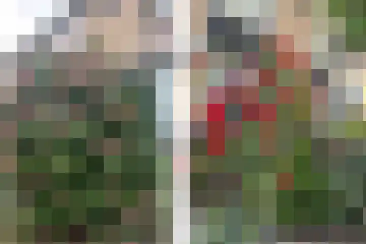 Benedictusstraat 5 Tilburg thumbnail 28