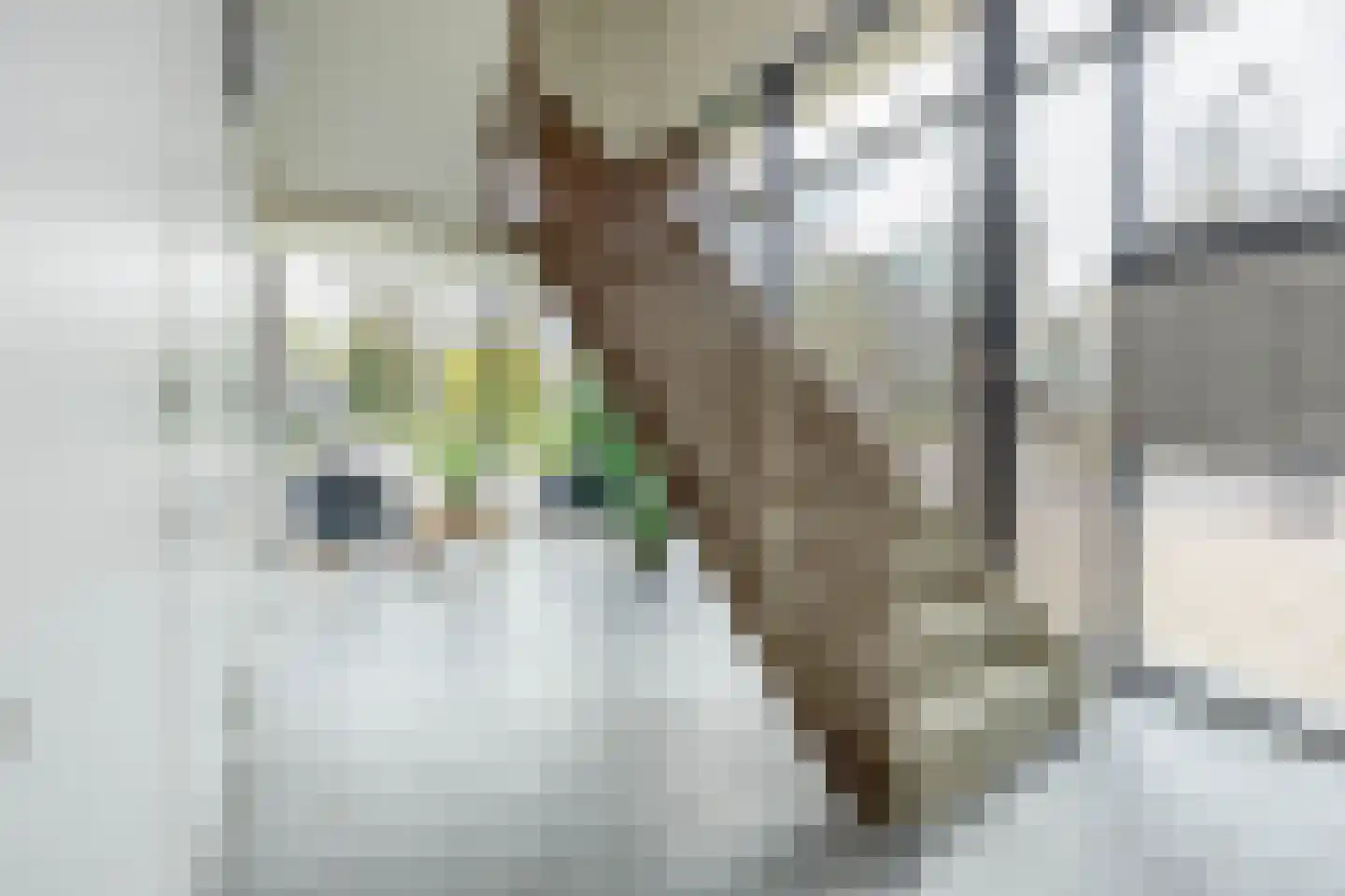 Beneluxlaan 1 f Schoonhoven thumbnail 9