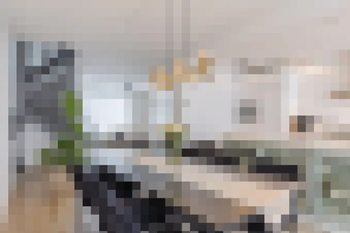Beneluxlaan 11 Dongen thumbnail 13