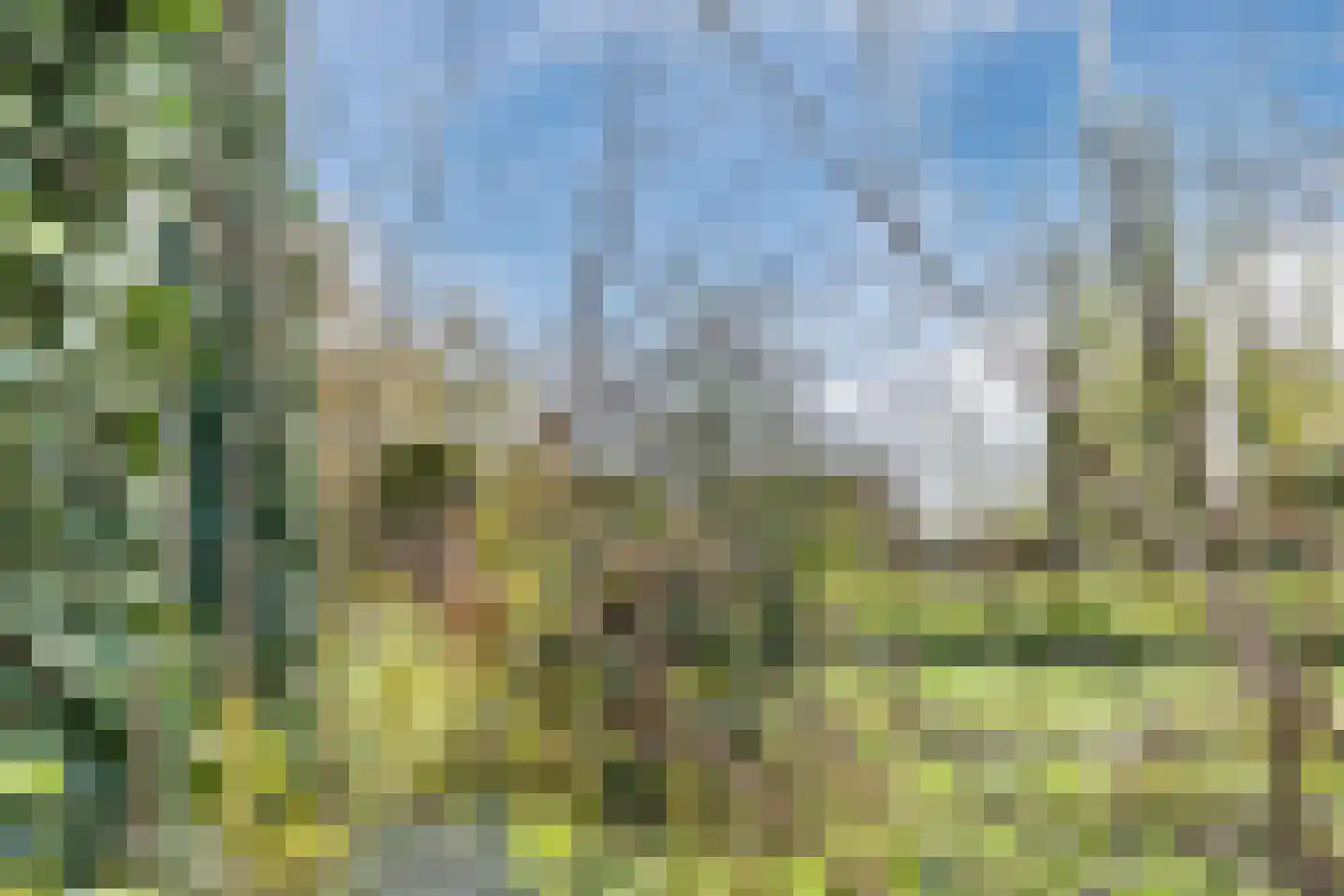 Beneluxlaan 11 Dongen thumbnail 30