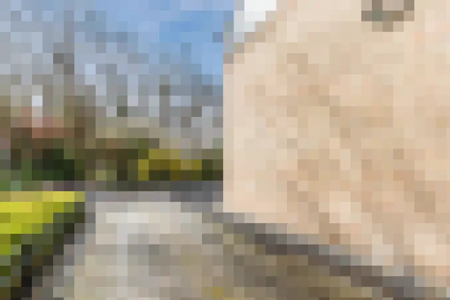 Beneluxlaan 11 Dongen thumbnail 7